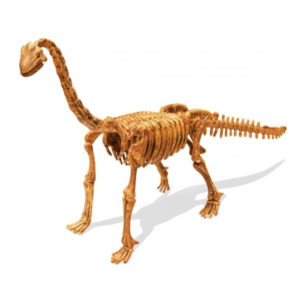 ערכת דינוזאורים לחפירה – ברכיוזאורוס – "BUKI", צרפת