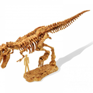 ערכת דינוזאורים לחפירה – Trex טירנזאורה – "BUKI", צרפת