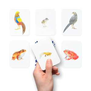 משחק התאמה וזיכרון-חיות ןמשפחתן