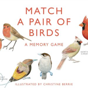 משחק זיכרון – התאם זוג ציפורים
