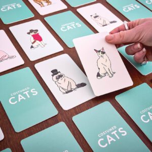 משחק זיכרון והתאמה – "חתולים מחופשים"
