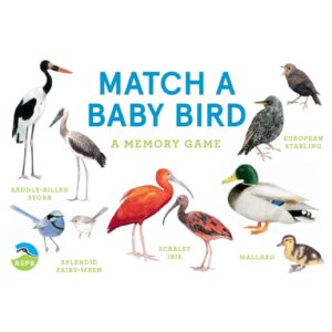 משחק זכרון – Baby Bird