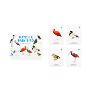 משחק זכרון – Baby Bird