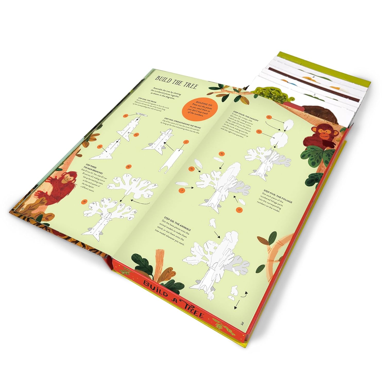 ספר בנה ושחק: בנה עץ אלון בגובה 30 ס"מ! – תמונה 4