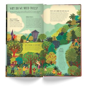 ספר בנה ושחק: בנה עץ אלון בגובה 30 ס"מ!