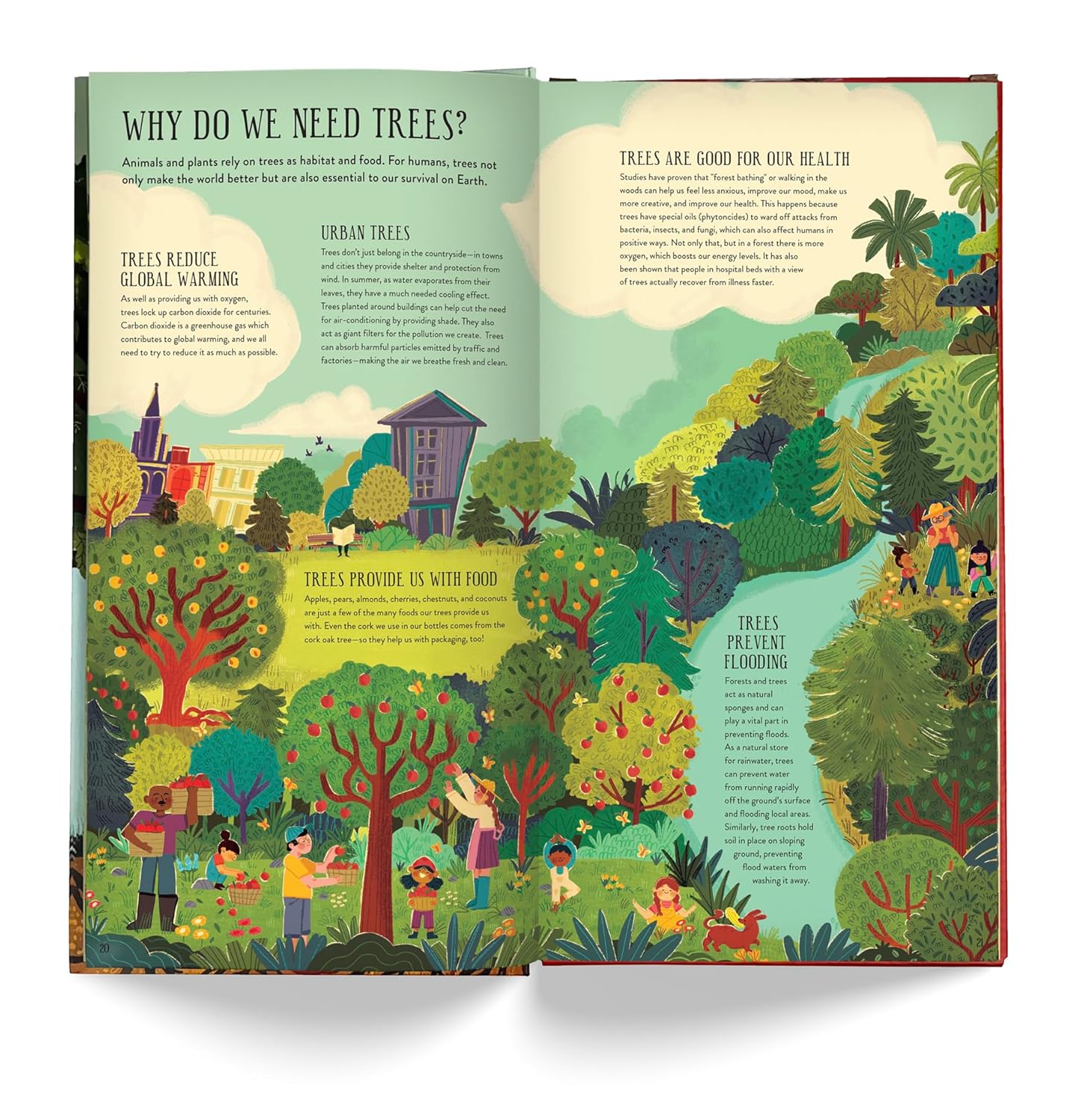 ספר בנה ושחק: בנה עץ אלון בגובה 30 ס"מ! – תמונה 2