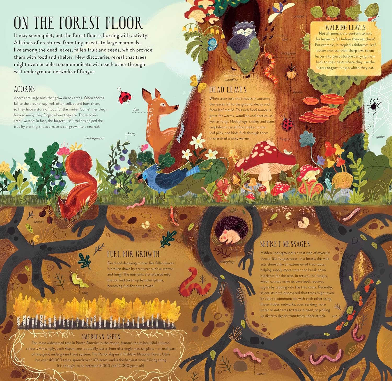 ספר בנה ושחק: בנה עץ אלון בגובה 30 ס"מ! – תמונה 8