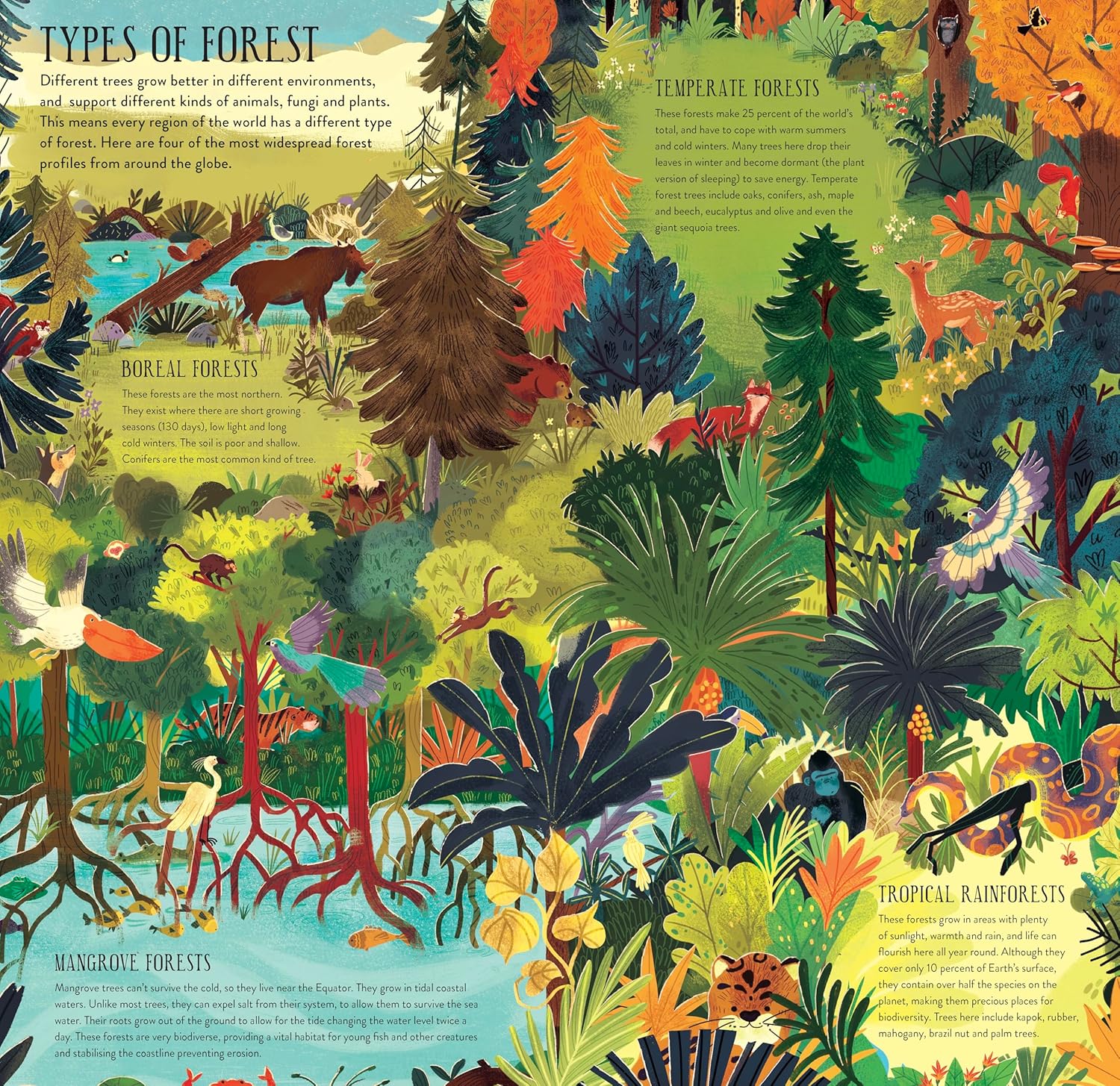 ספר בנה ושחק: בנה עץ אלון בגובה 30 ס"מ! – תמונה 7